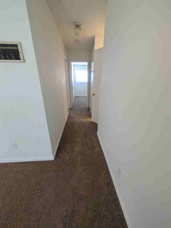 1054 S Magnolia Ave #8 - Photo 5 of 50