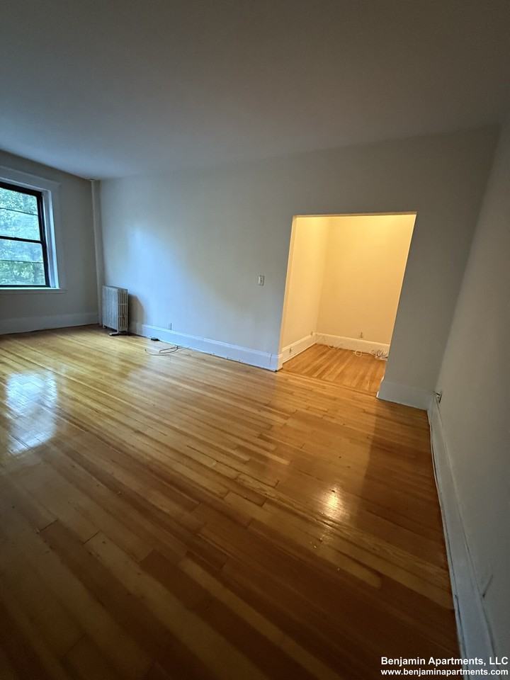 Saint Paul St. & Freeman St #23 - Photo 3 of 10