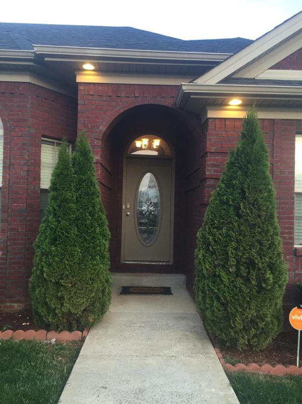 302 Willow Crossing Ct - Photo 2 of 47