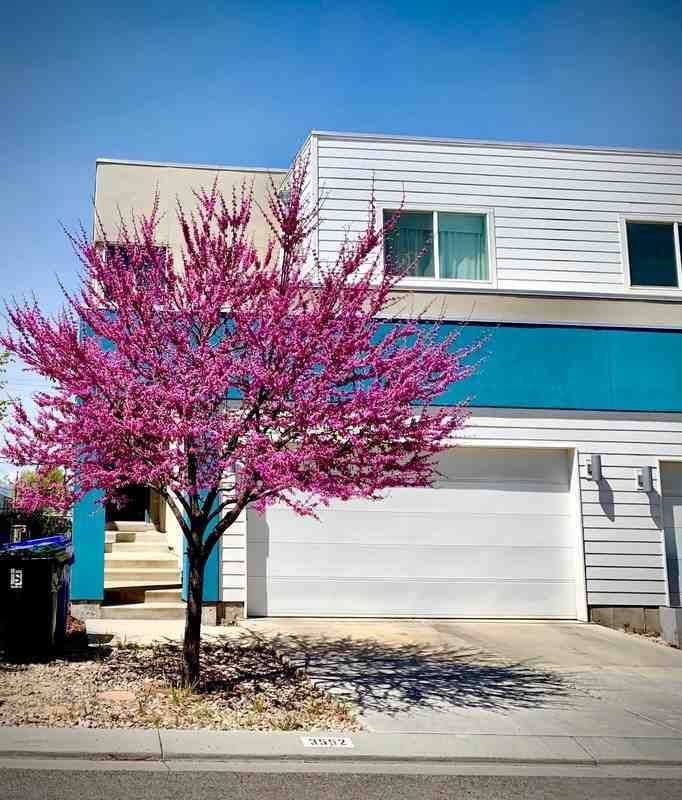 3552 S Terra Sol Dr - Photo 2 of 25