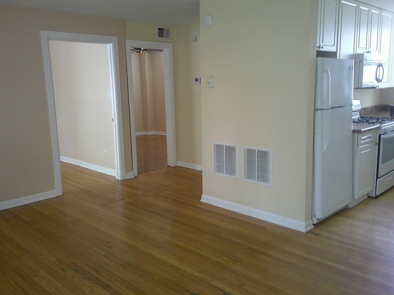 4738 W George St Apt 1w #1W - Photo 2 of 5