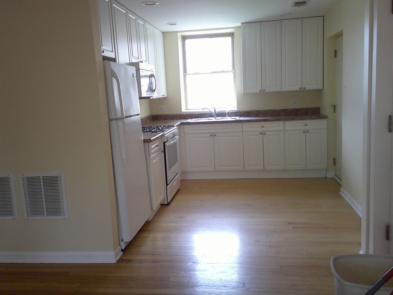 4738 W George St Apt 1w #1W - Photo 4 of 5