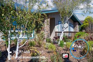 featured image of 133 Braemer Ct