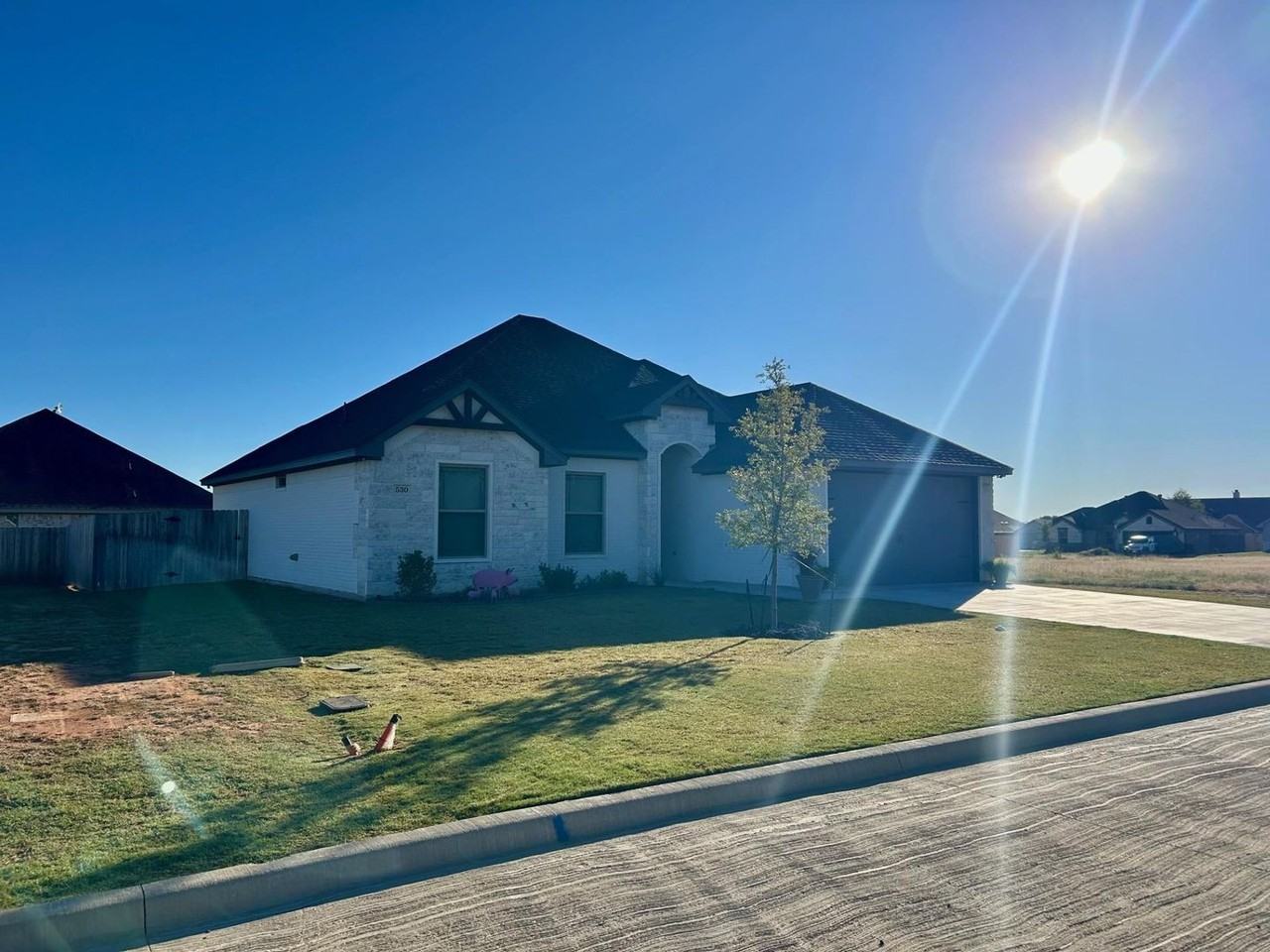 530 Calla Lily Way - Photo 2 of 19