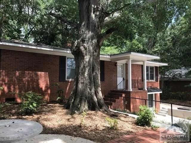48 Holman Ave - Photo 3 of 13