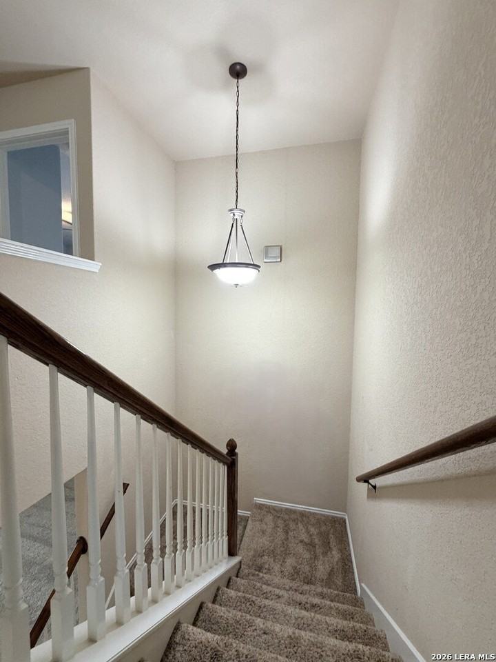 11802 Lemonmint Pkwy - Photo 7 of 20