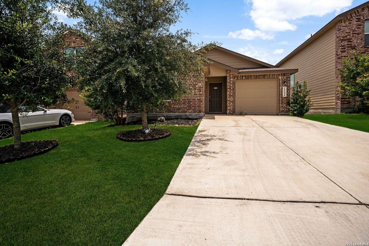 15446 Shortwing - Photo 2 of 36