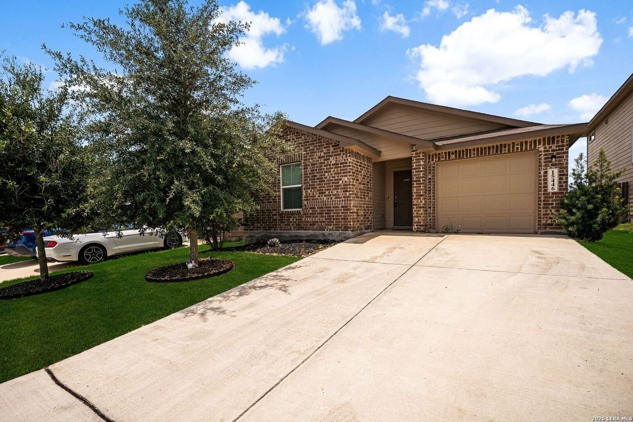 15446 Shortwing - Photo 3 of 36