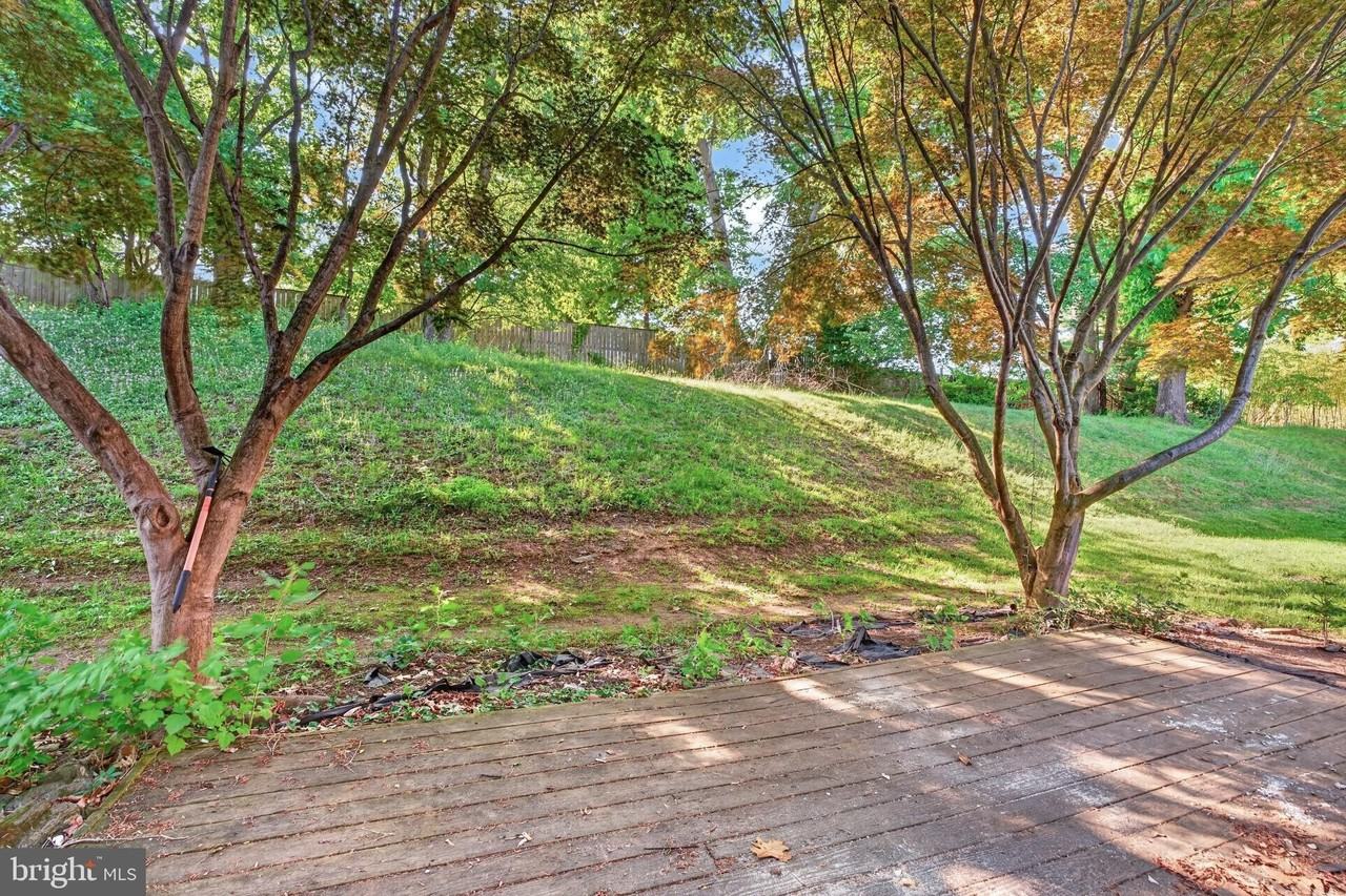 9333 Pan Ridge Rd - Photo 3 of 37