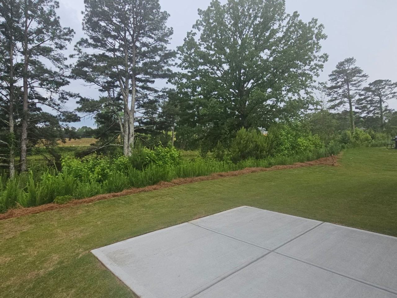 306 Thompson Ridge Ln - Photo 6 of 14