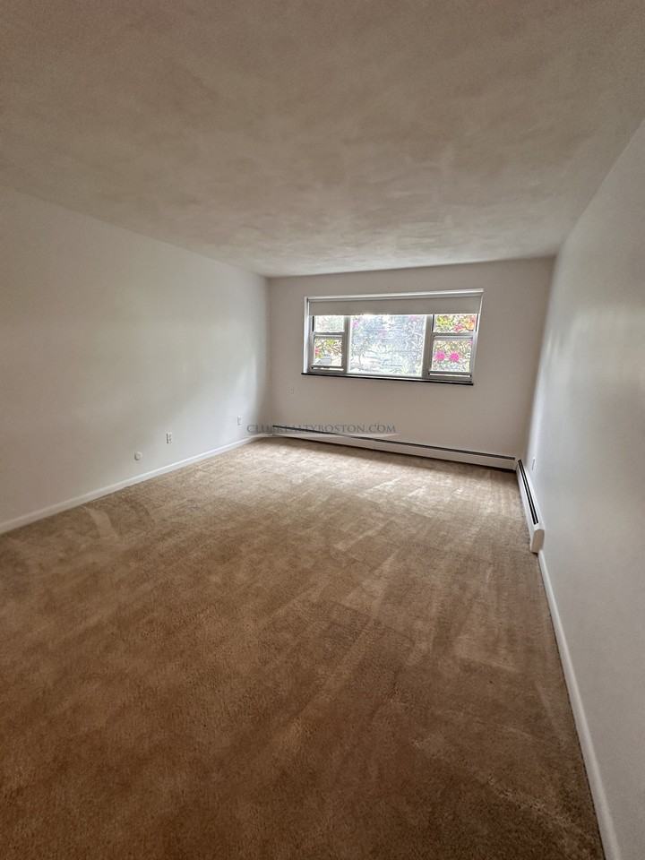 181 Lexington St #20 - Photo 4 of 13