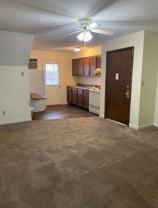 2819 Whitener - Photo 1 of 1