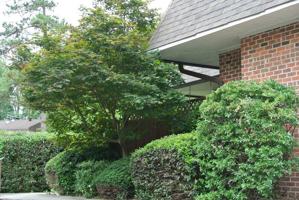 featured image of 200 Finley Forest Dr