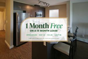 featured image of 217 Lake St