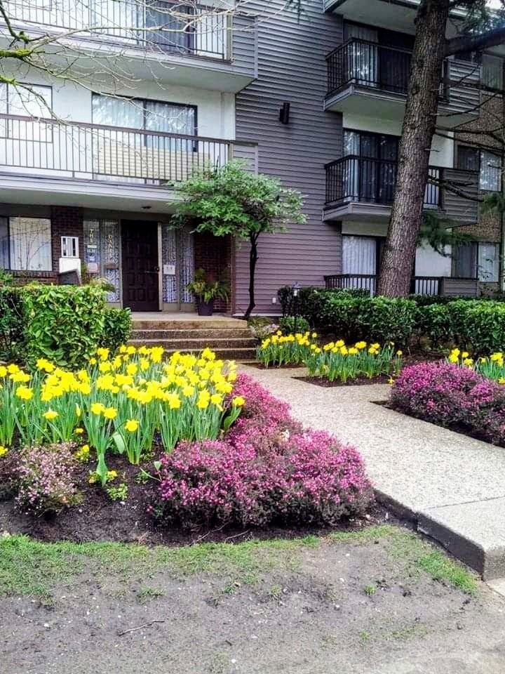 The Daniel Apartments - Photo 7 of 11