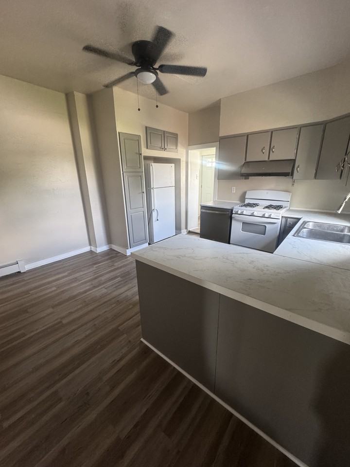 251 E Maple St #1 - Photo 5 of 15