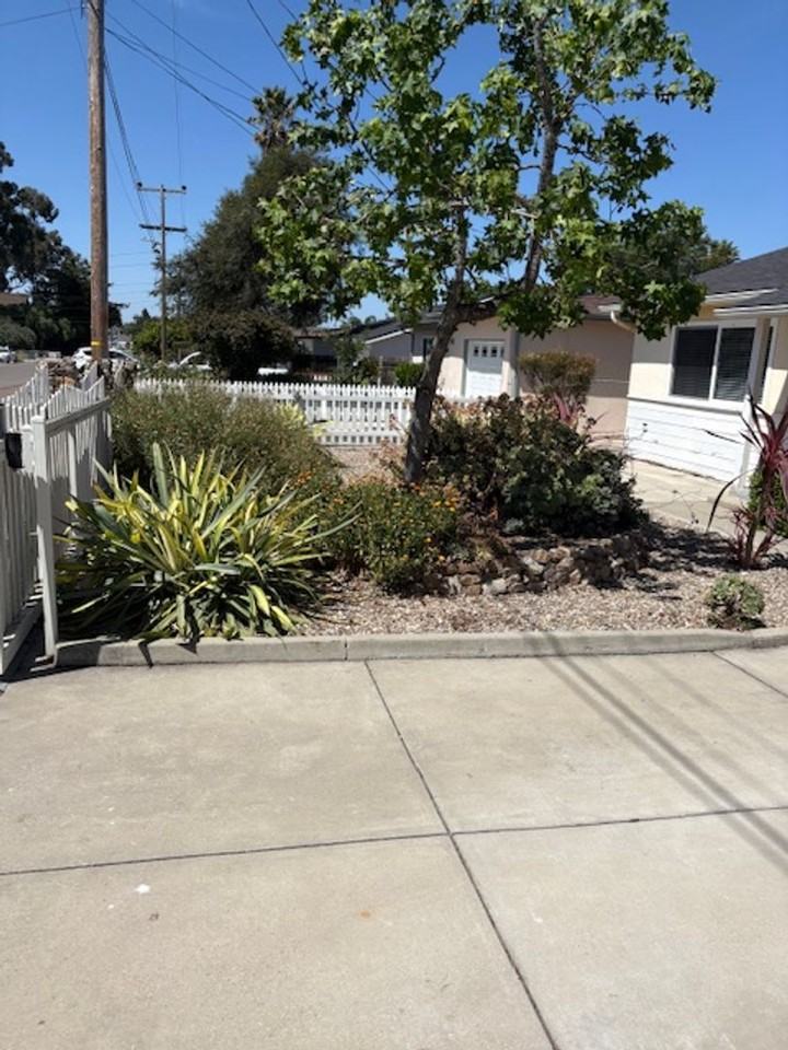 183 E Dana St - Photo 4 of 24