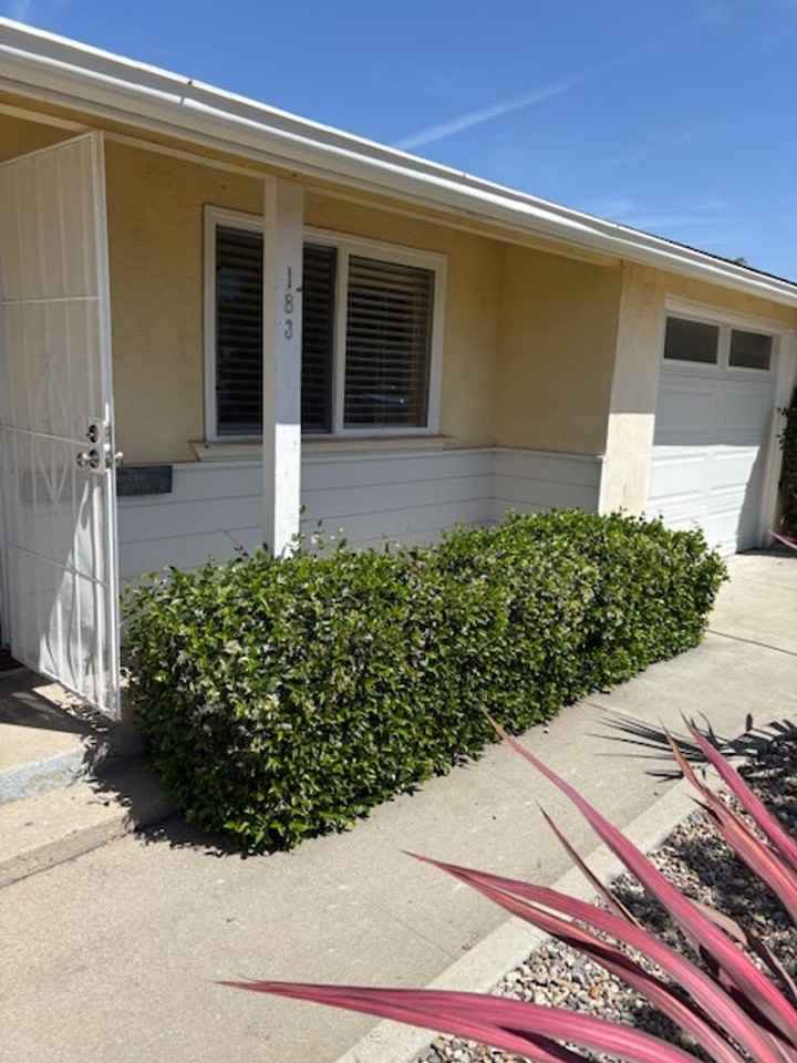 183 E Dana St - Photo 6 of 24