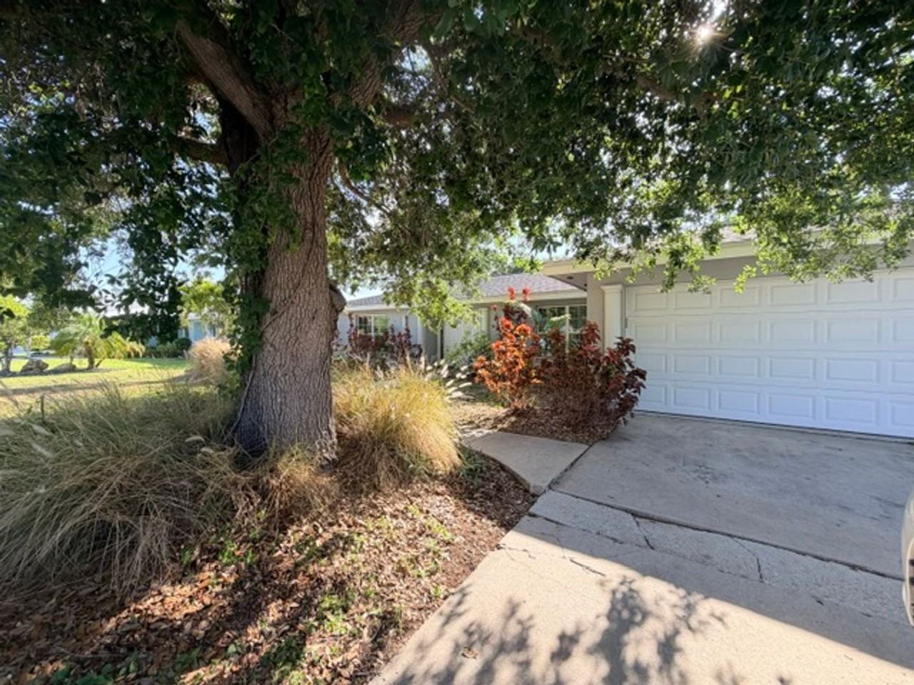 5319 Pelican Blvd