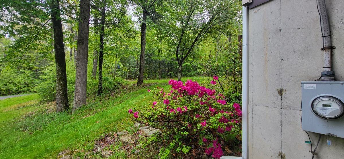 45 Laurel Hollow Est - Photo 5 of 18