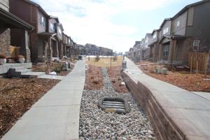 featured image of 7577 S Zante Ct