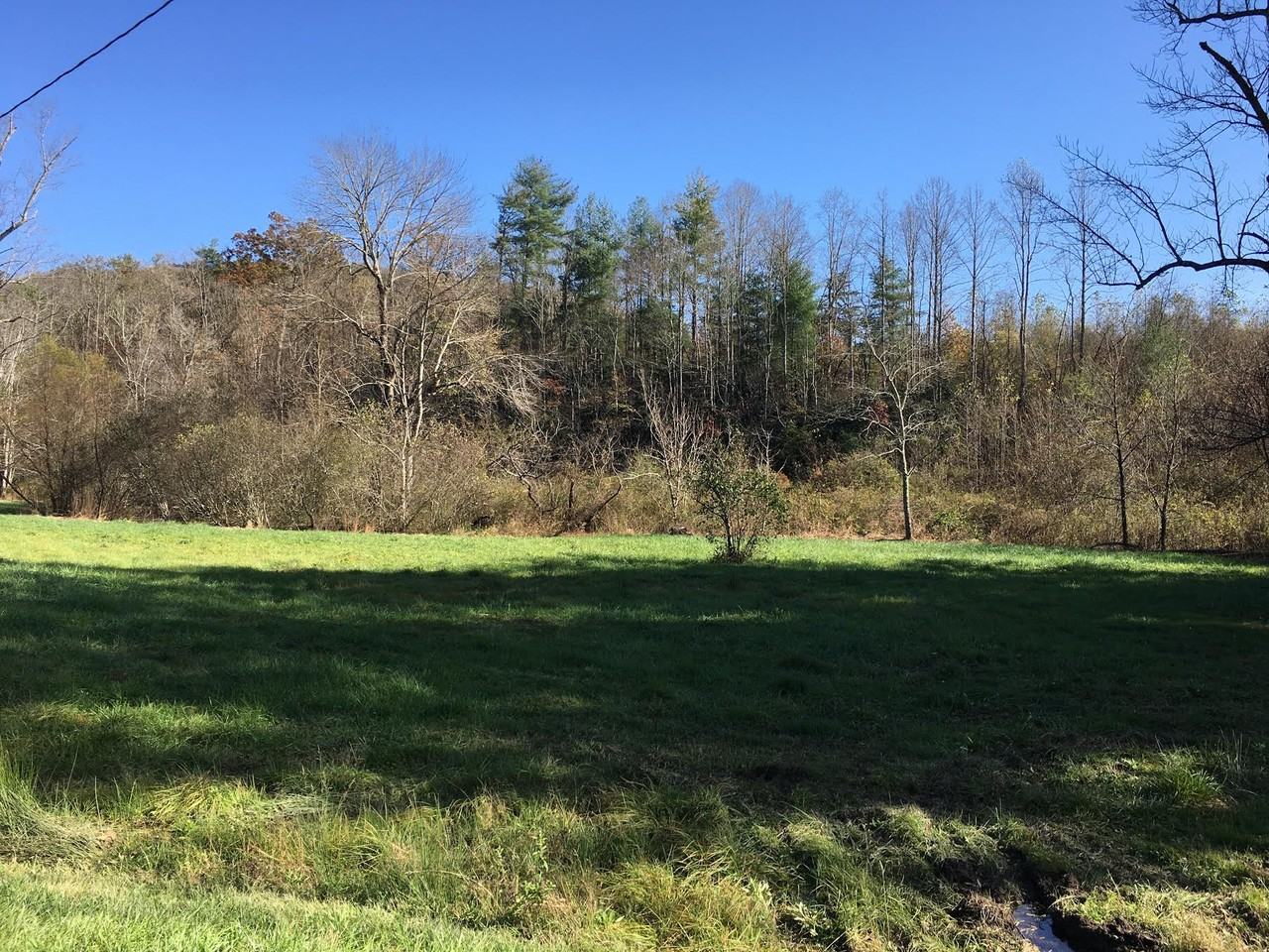 4568 Old Clear Creek Rd - Photo 5 of 11