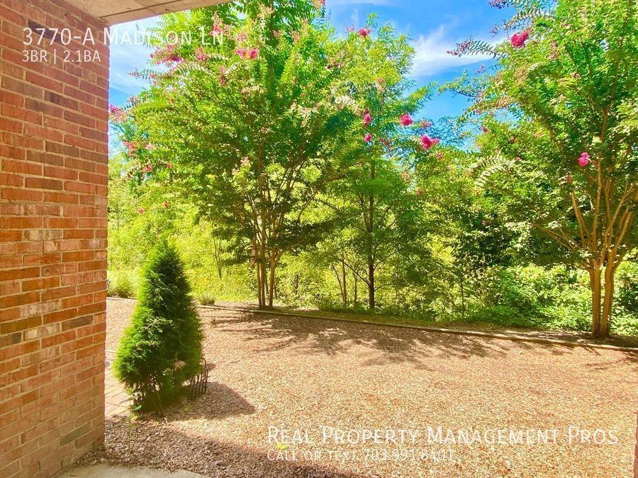 3770-A Madison Ln - Photo 4 of 25