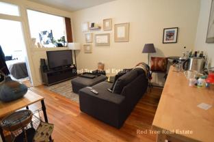 33 Beacon St #206 - Photo 1 of 1