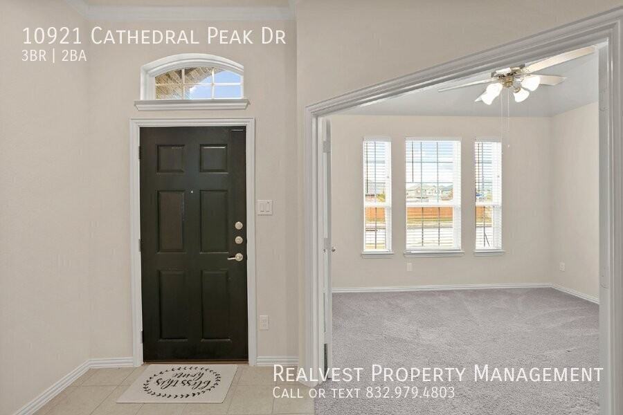 10921 Cathedral Peak Dr - Photo 3 of 19