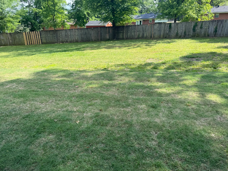 1002 Glencrest Ln - Photo 5 of 16