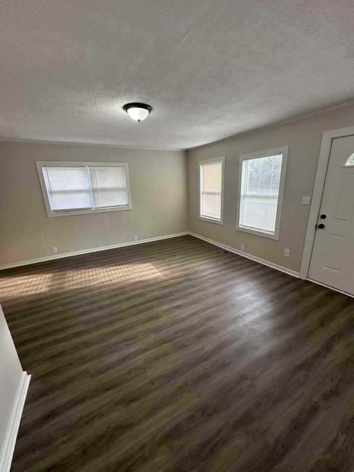 218 Purple Star Ln #1 - Photo 4 of 16