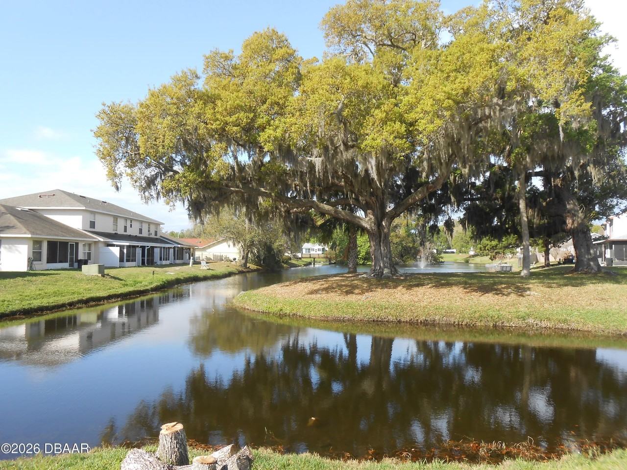 1602 Deer Springs Rd - Photo 2 of 39