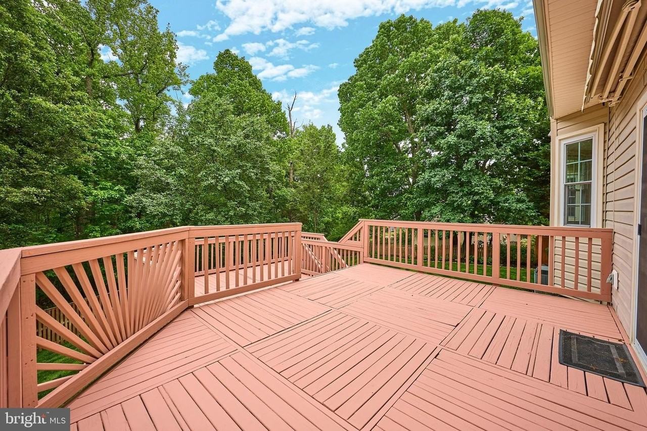 8695 Ruby Rise Pl - Photo 5 of 37