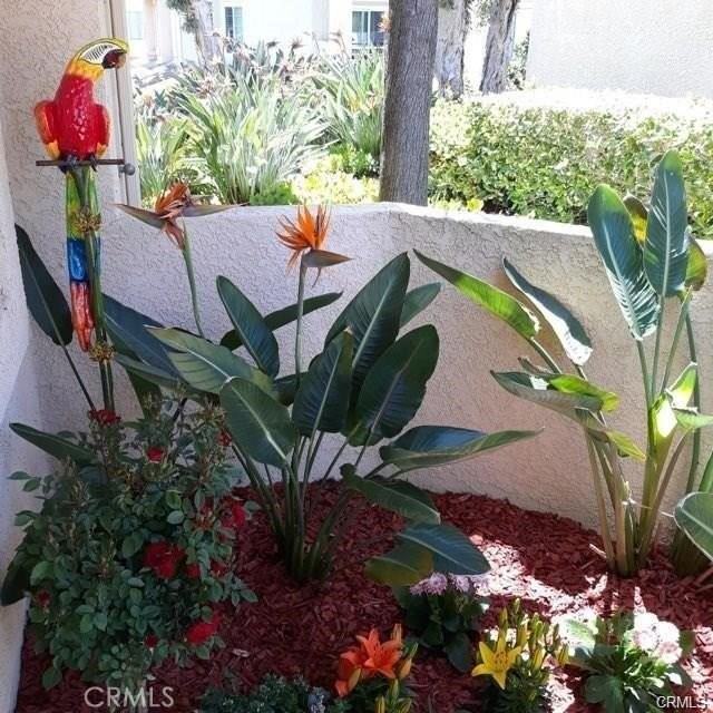 25182 Via Catalina - Photo 5 of 28