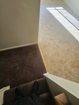 9501 Lauder St #1 - Photo 1 of 1