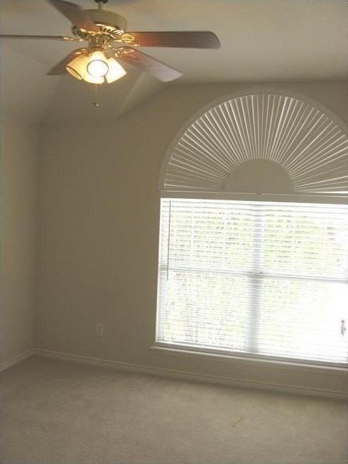 1313 Sunderland Ct - Photo 6 of 13
