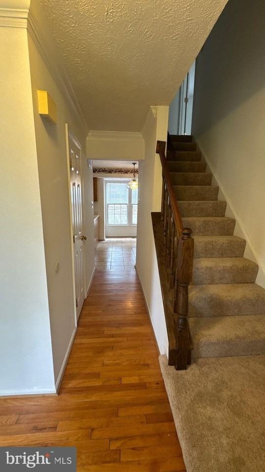 8698 Open Meadow Way - Photo 5 of 28