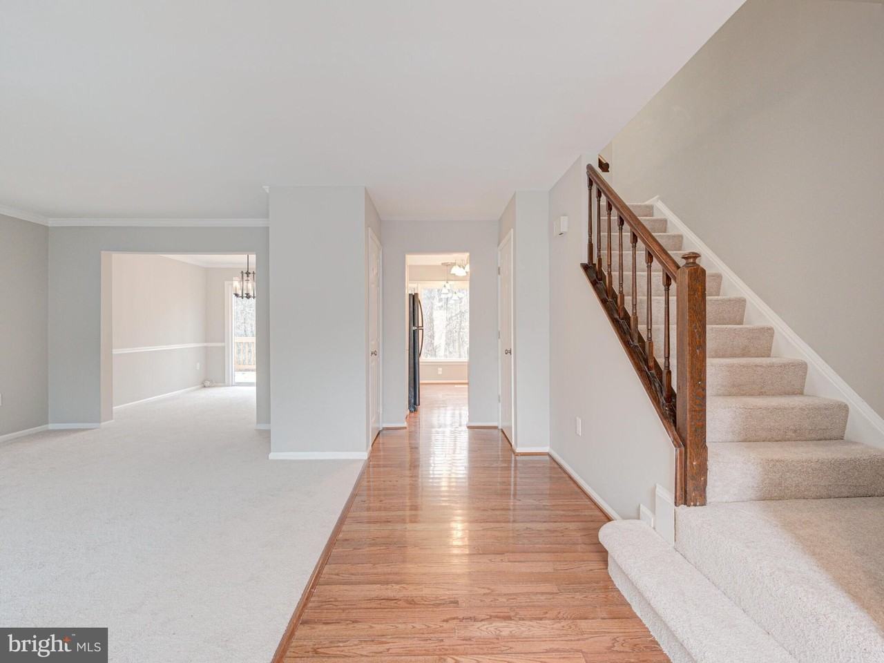 10332 Mockingbird Pond Ct - Photo 3 of 41