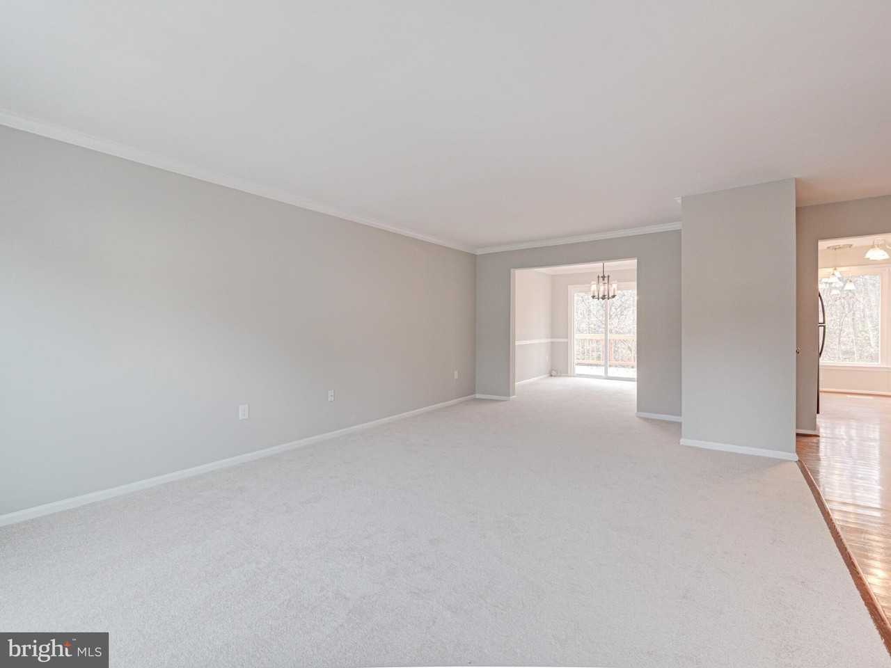 10332 Mockingbird Pond Ct - Photo 6 of 41