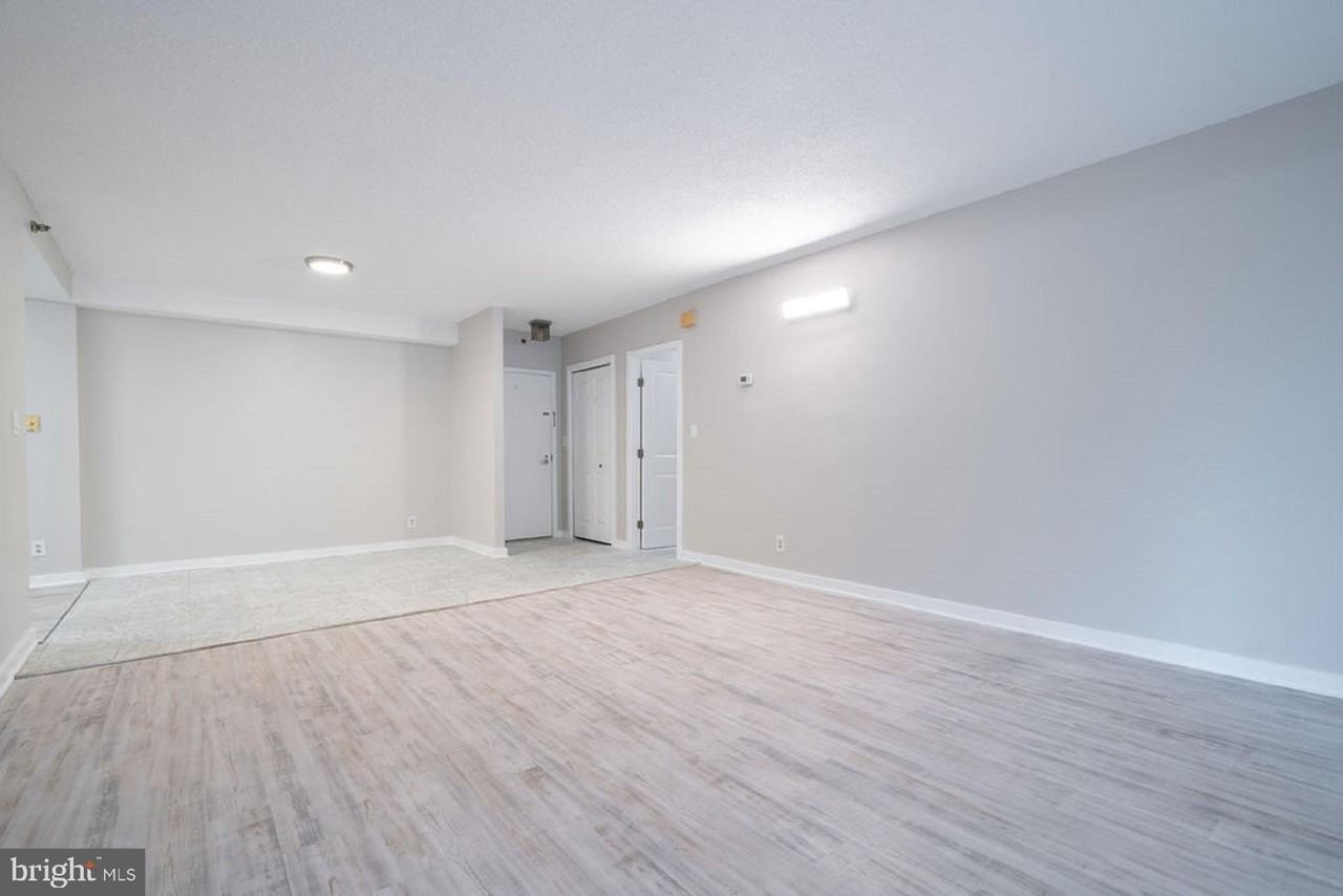 5505 Seminary Rd #103N - Photo 4 of 50