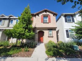 featured image of 3805 Amelia Rose Way