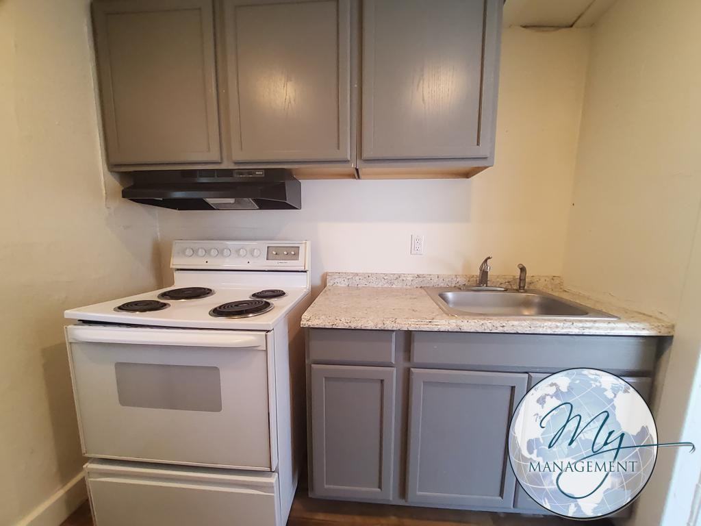 329 5th Ave N #4 - Photo 5 of 10