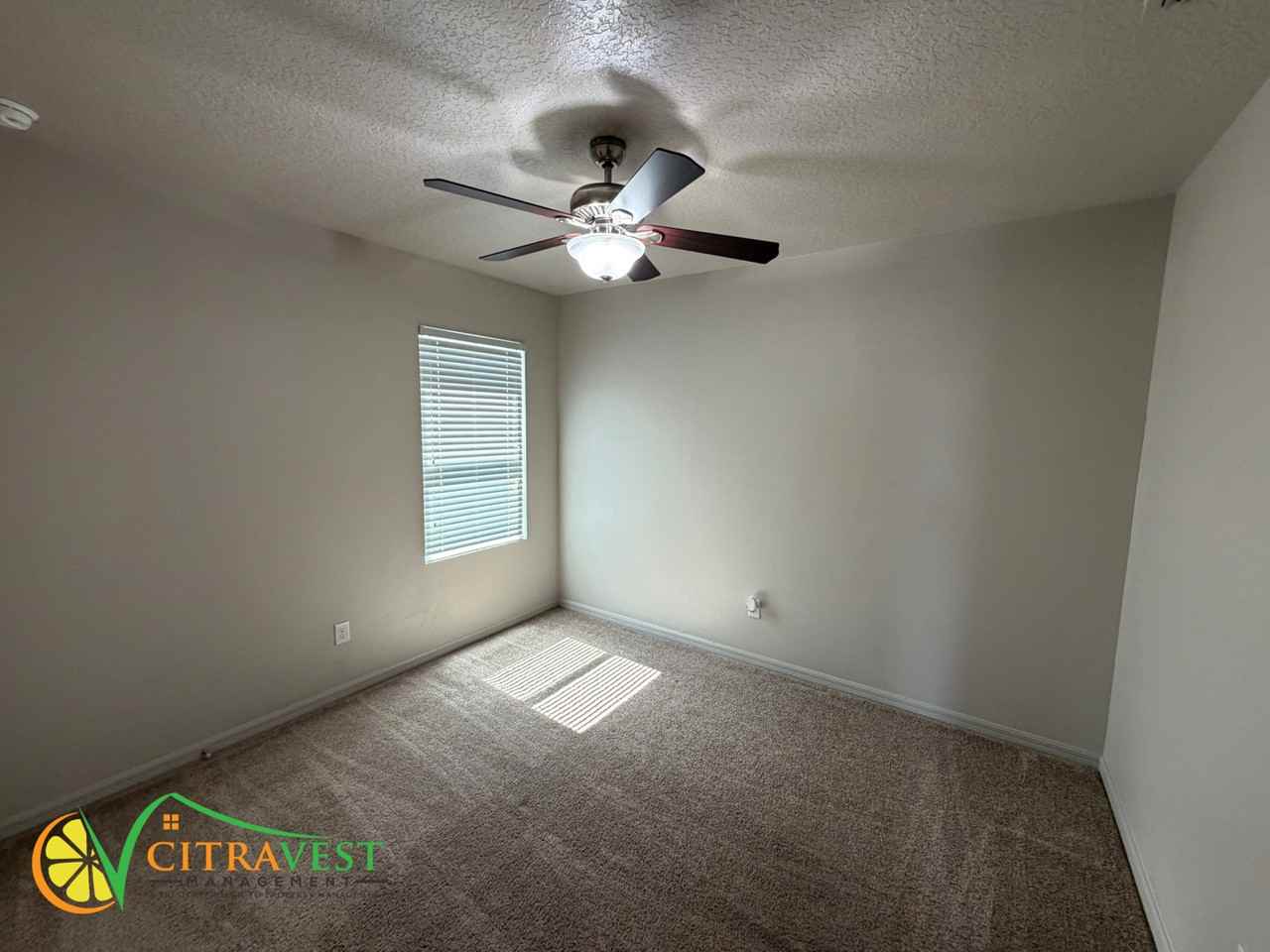 4137 Roberta Dr - Photo 5 of 12