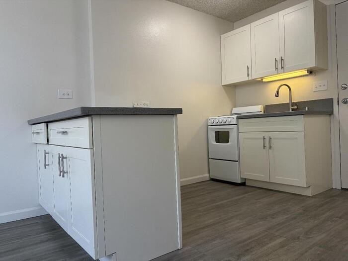 1560 Kanunu St #916 - Photo 4 of 5