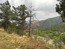 8220 W Hwy #1 - Photo 1 of 1