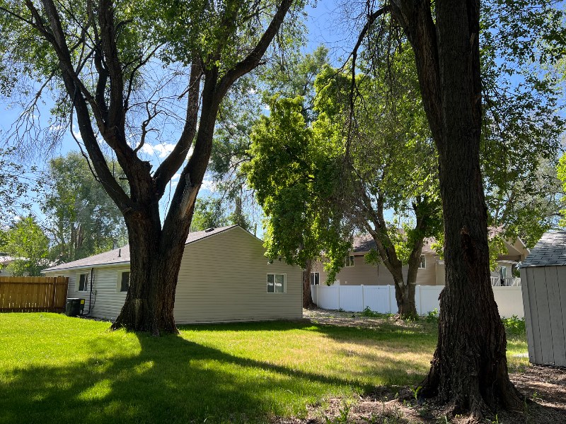 203 King St - Photo 4 of 15