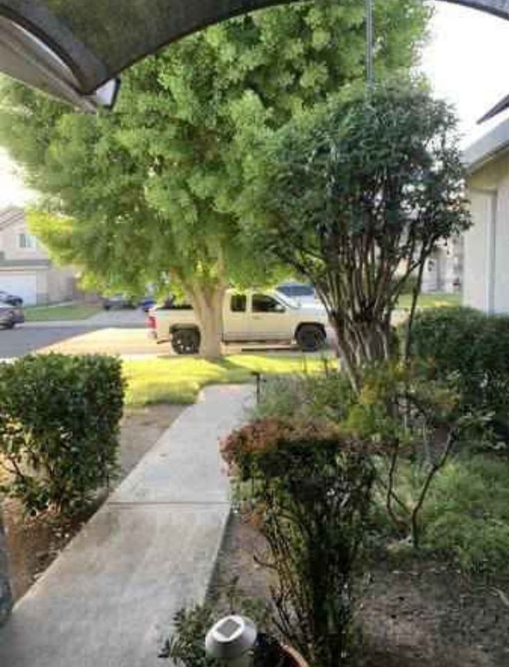 3776 Leilani Ln - Photo 2 of 13