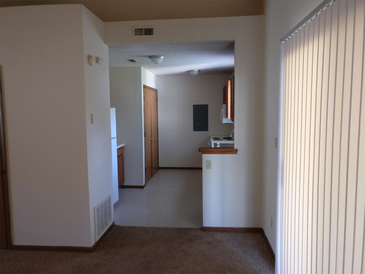 1707 Telluride Ln #1707 - Photo 7 of 8