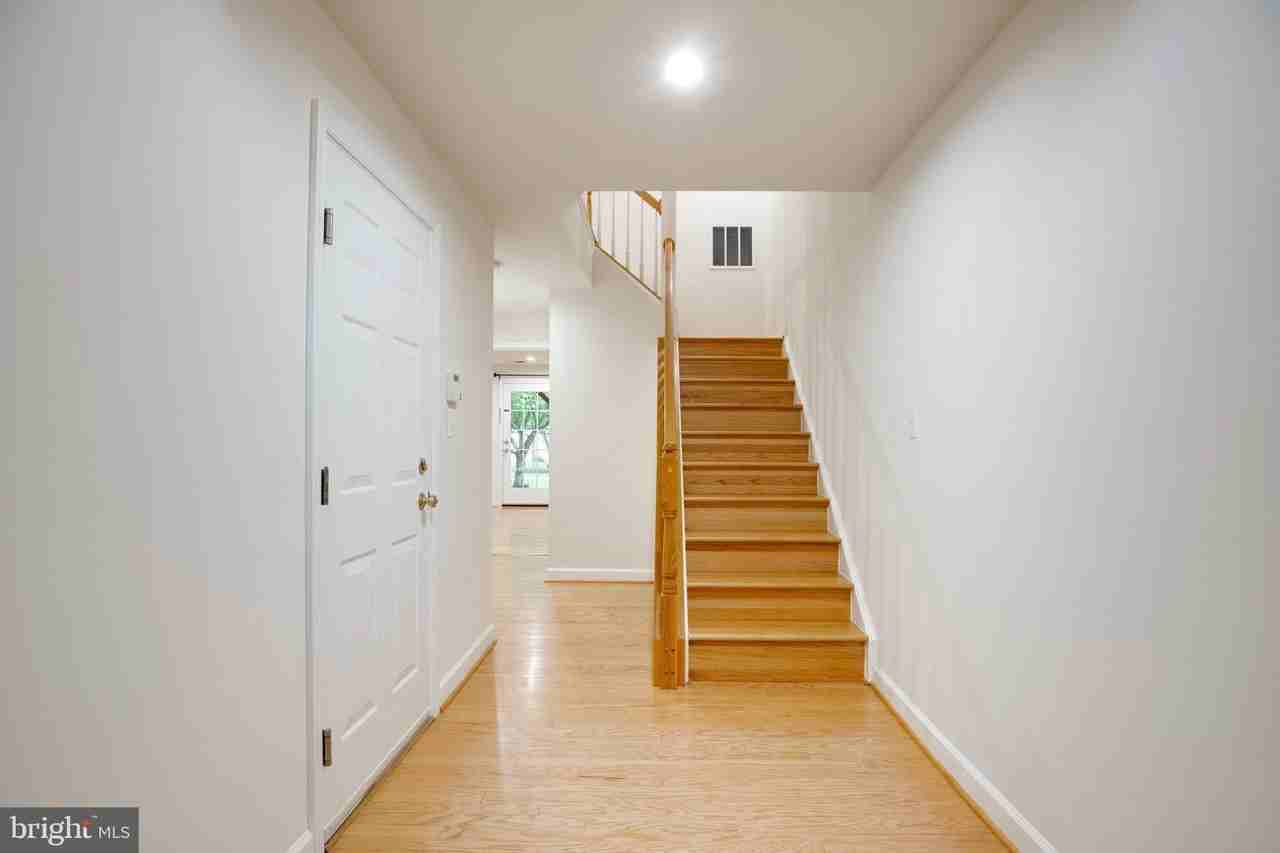 13557 Lavender Mist Ln - Photo 4 of 50