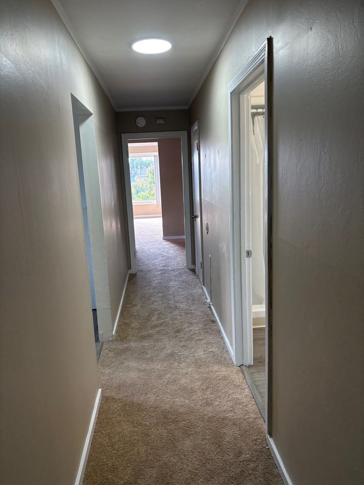 1411 East 3rd Avenue #6 - Photo 3 of 17